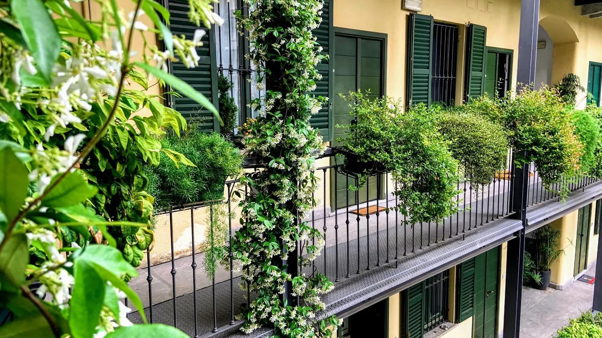 Charming Apartment Parco - Arco Della Pace - Perfect For 5 People Milano İtalya